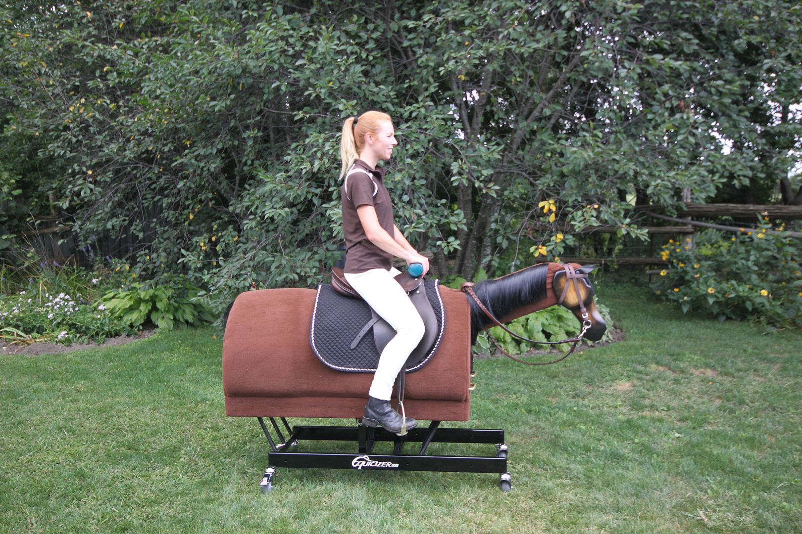 Equicizer Equestrian Exercises